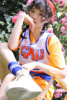 女婿上母后免费观看电视剧一共多少